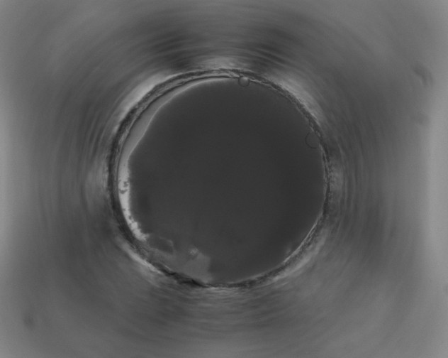 X0000113851023200910081641