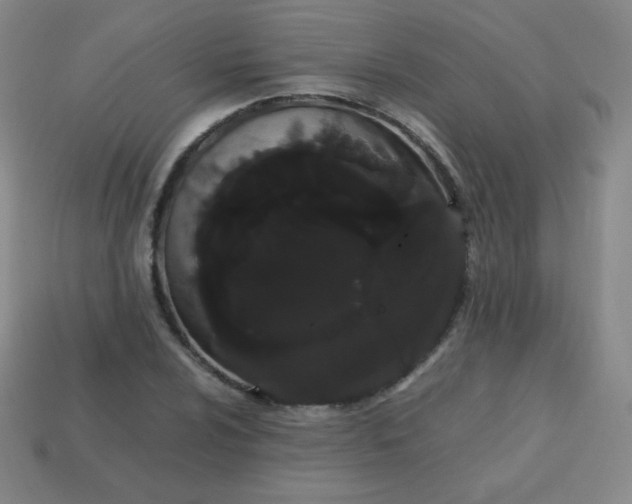 X0000113851024200910081641