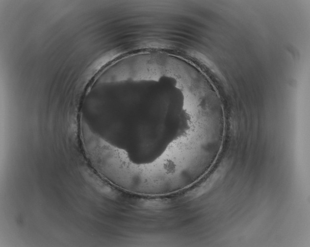 X0000113851025200910081641