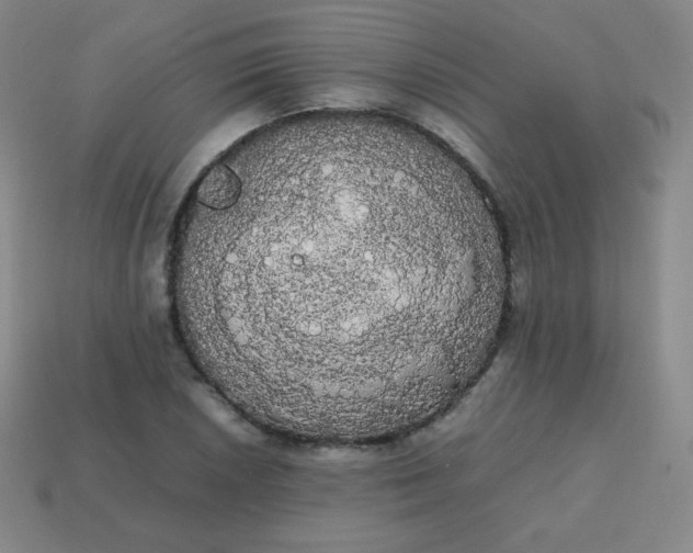 X0000113851026200910081641