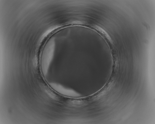 X0000113851027200910081641