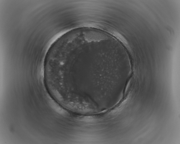 X0000113851028200910081641