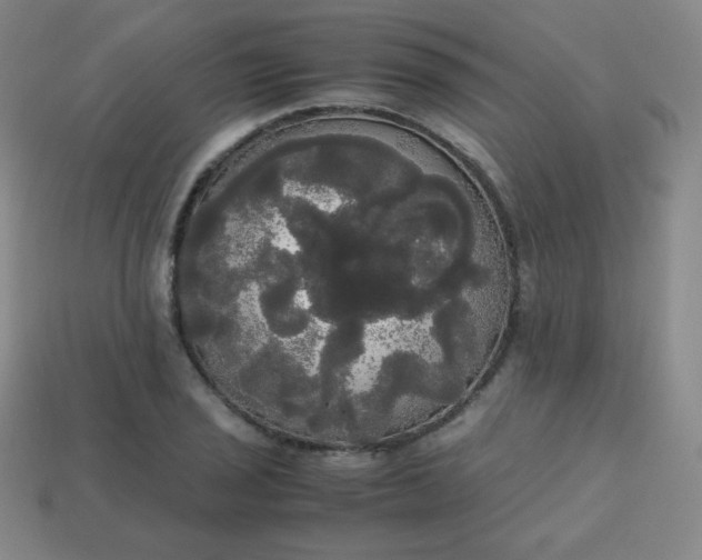 X0000113851029200910081641