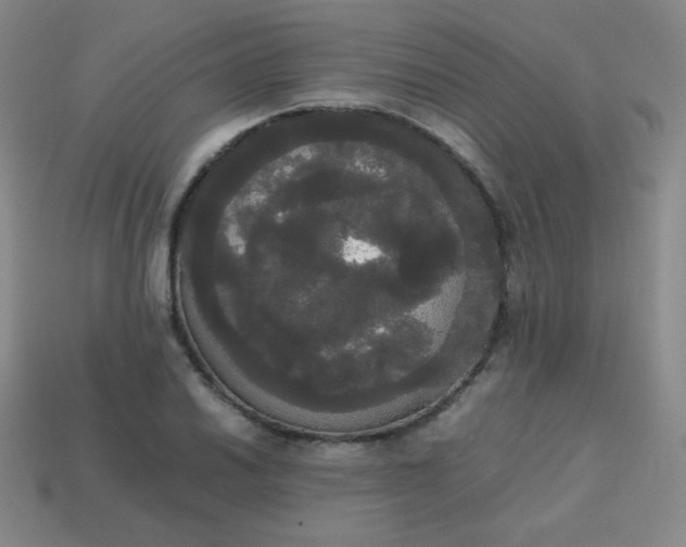 X0000113851030200910081641