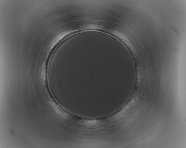 X0000113851031200910081641