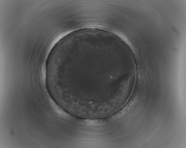 X0000113851032200910081641