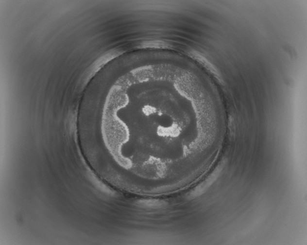 X0000113851033200910081641