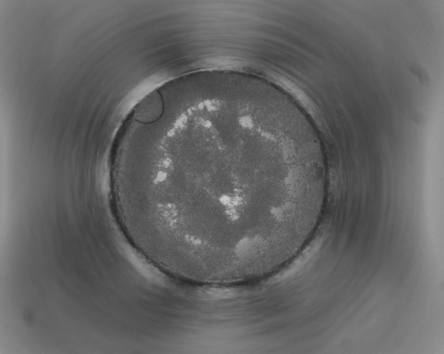 X0000113851034200910081641