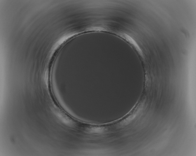 X0000113851035200910081641