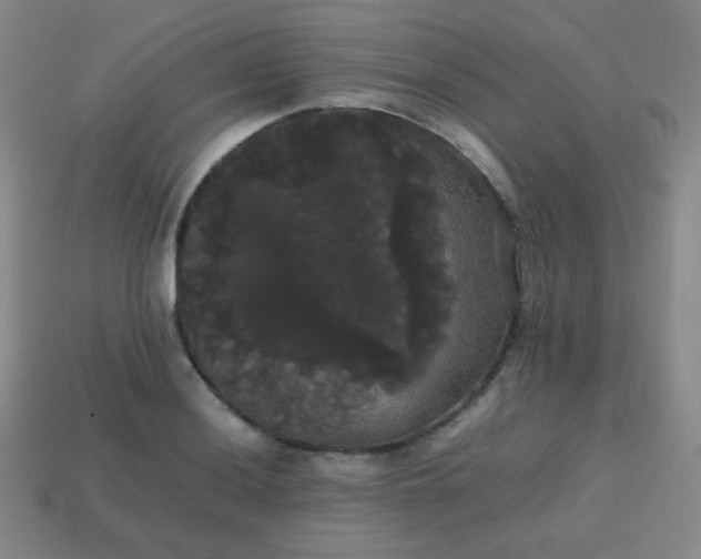 X0000113851036200910081641