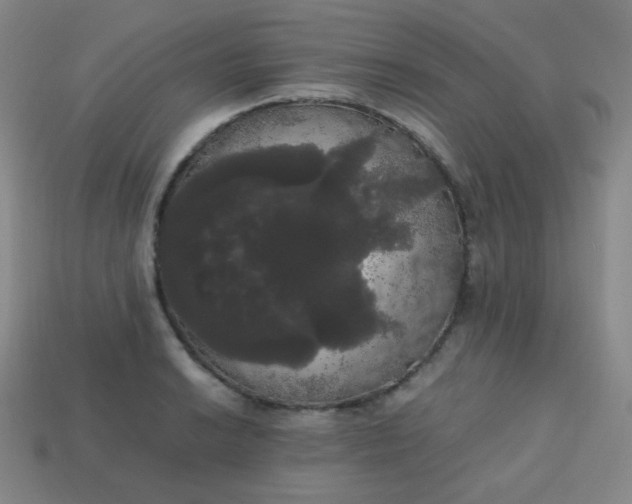 X0000113851038200910081641