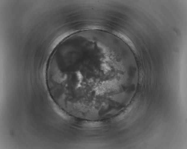 X0000113851039200910081641