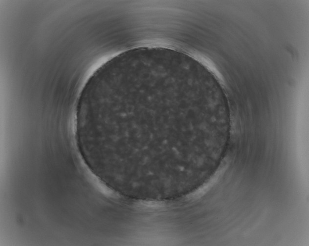 X0000113851040200910081641