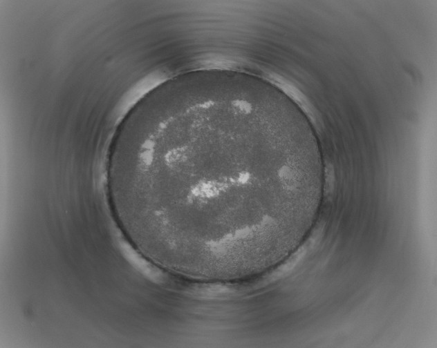 X0000113851042200910081641