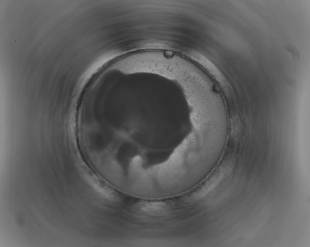 X0000113851043200910081641