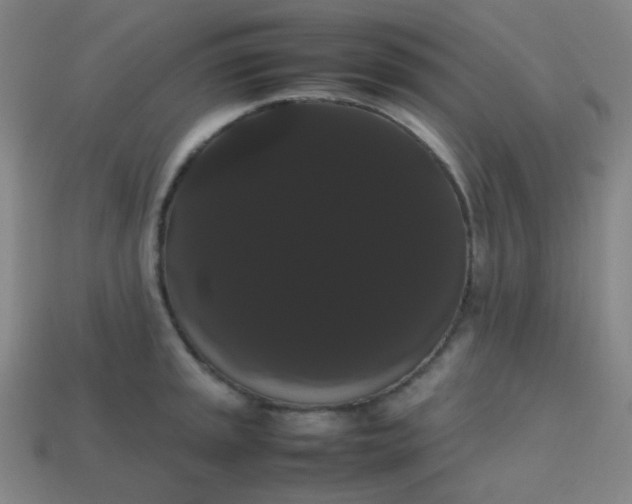 X0000113851045200910081642