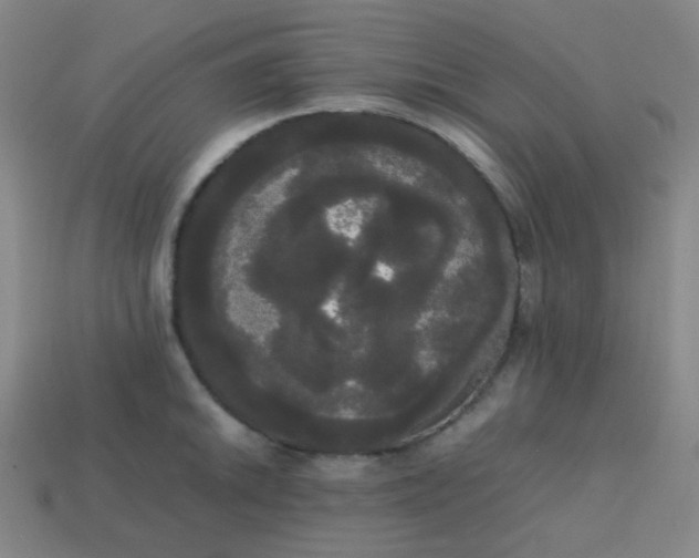 X0000113851046200910081642