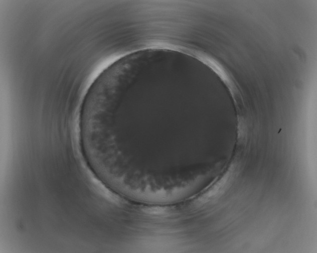 X0000113851048200910081642