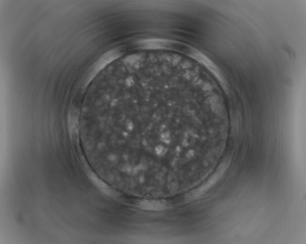 X0000113851049200910081642