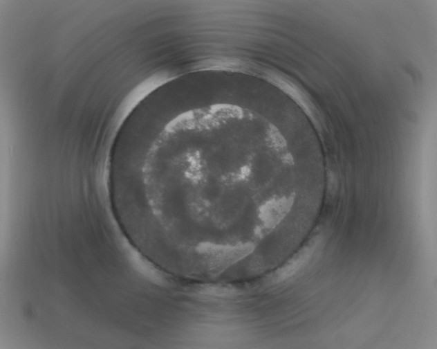 X0000113851050200910081642