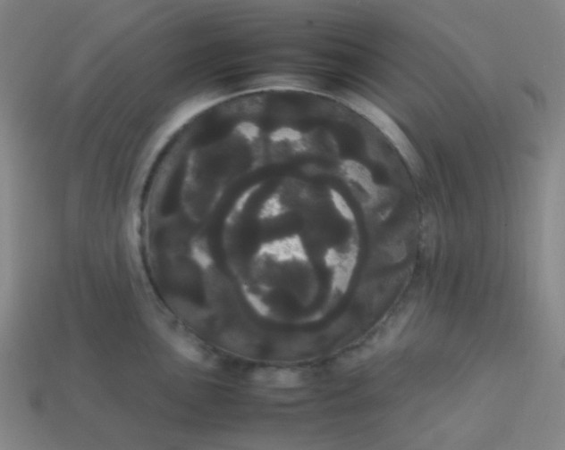 X0000113851051200910081642