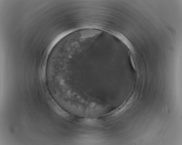 X0000113851052200910081642