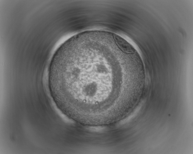 X0000113851053200910081642