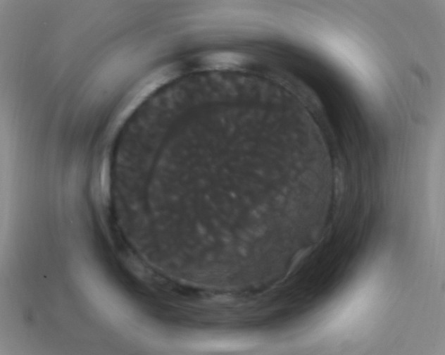 X0000113851054200910081642