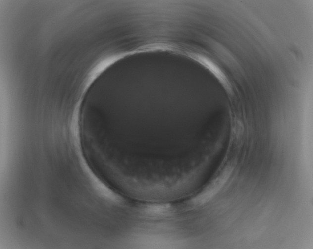 X0000113851055200910081642