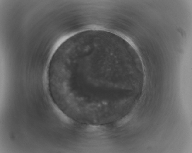 X0000113851056200910081642