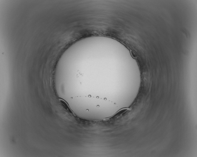 X0000113851057200910081641