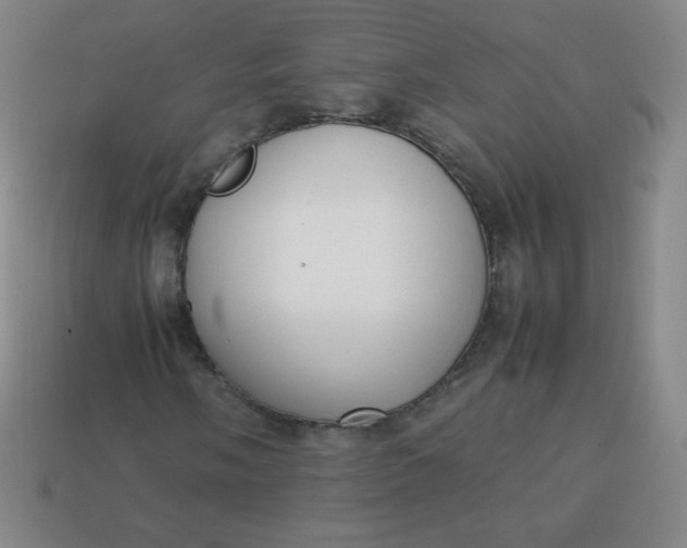 X0000113851058200910081641