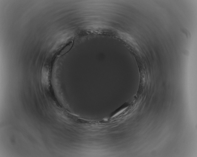 X0000113851060200910081641