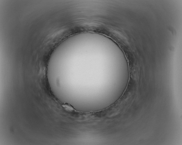 X0000113851061200910081641