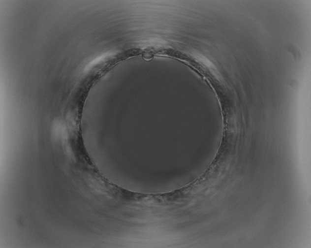 X0000113851063200910081641