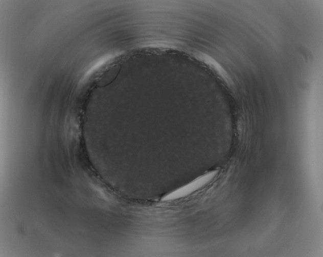 X0000113851064200910081641