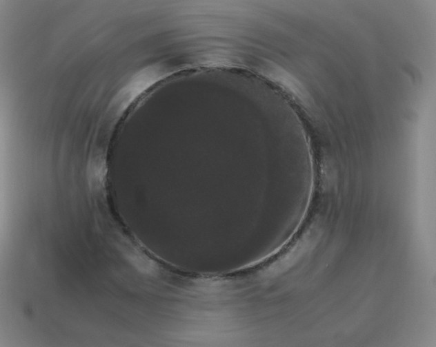 X0000113851065200910081641