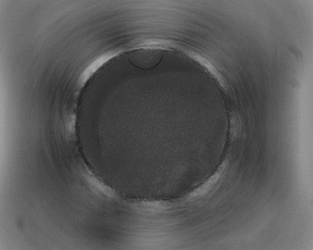 X0000113851066200910081641