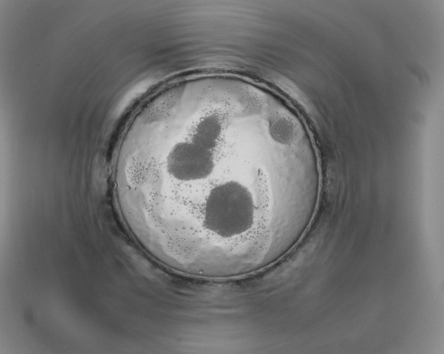 X0000113851067200910081641