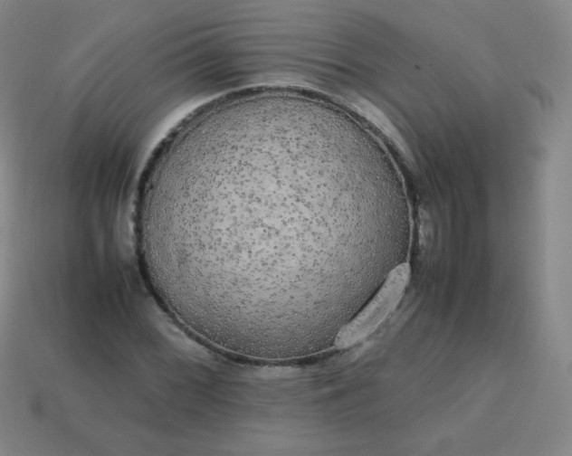 X0000113851068200910081641