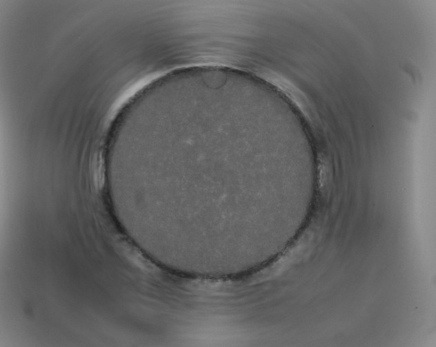 X0000113851069200910081641