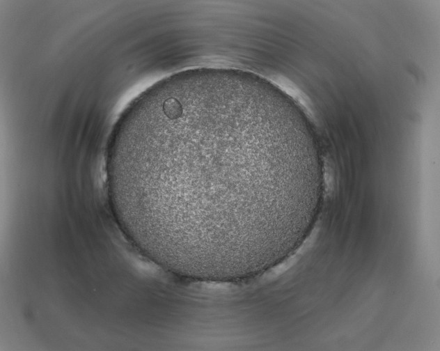 X0000113851070200910081641