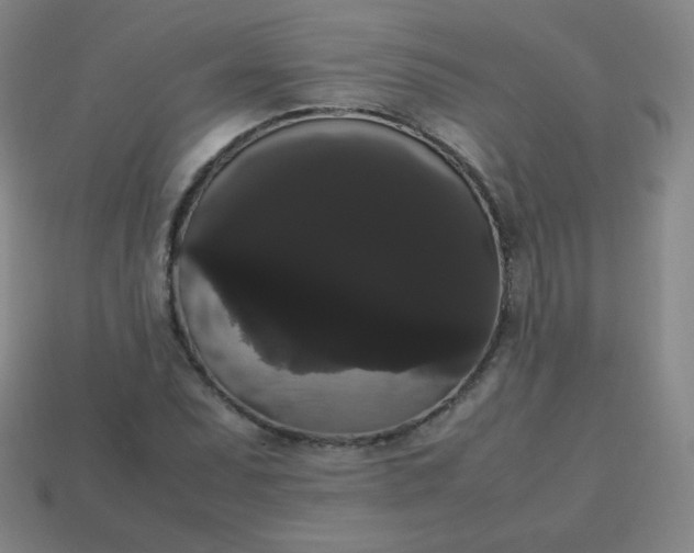 X0000113851071200910081641