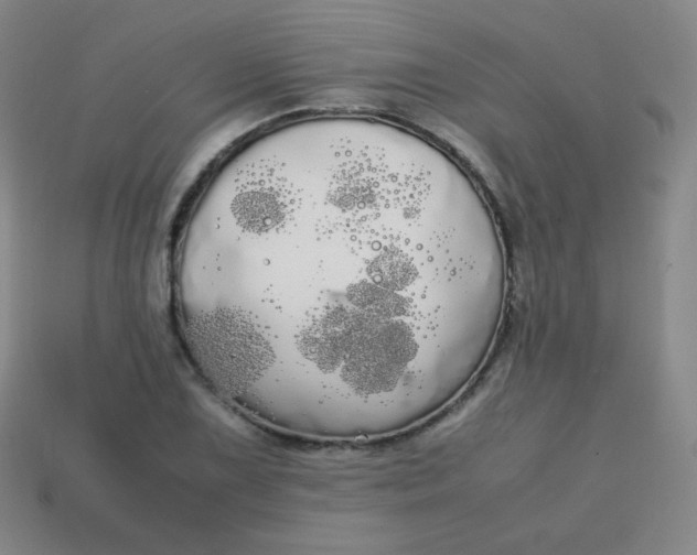 X0000113851075200910081641