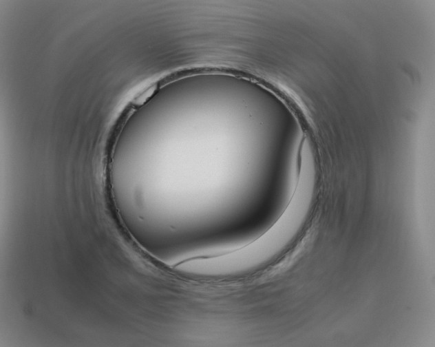 X0000113851077200910081641