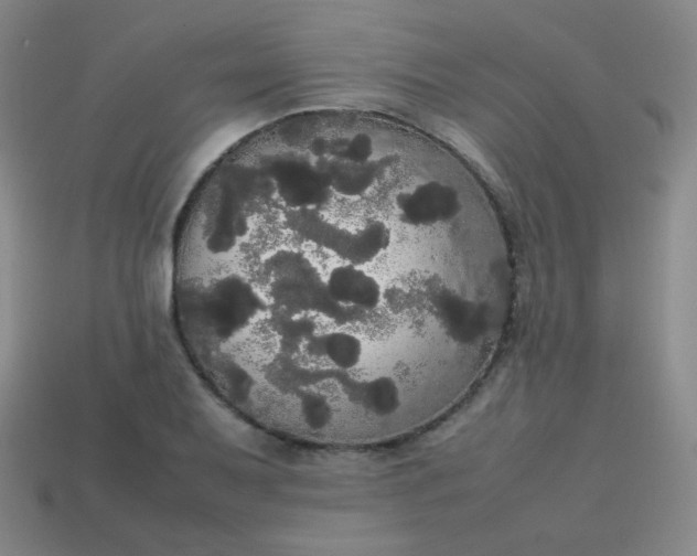 X0000113851079200910081641