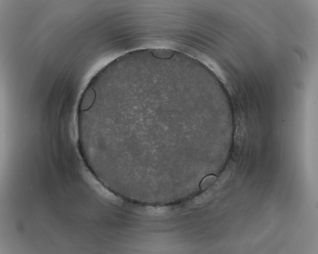 X0000113851080200910081641