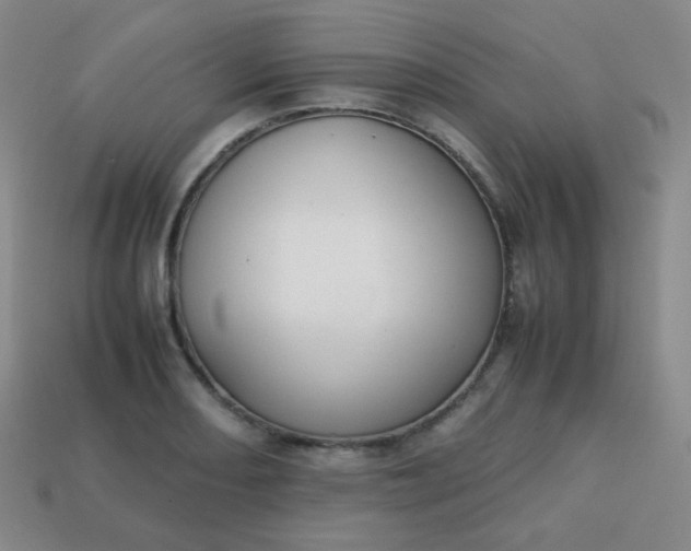 X0000113851082200910081641