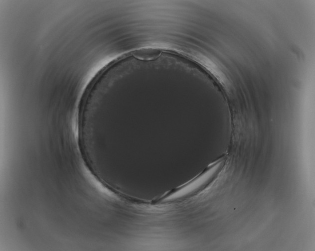 X0000113851084200910081641