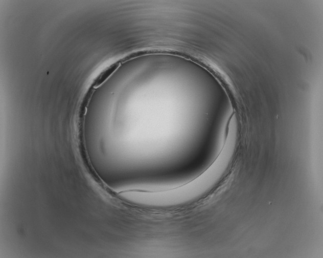 X0000113851085200910081641